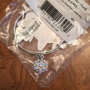 Alex and ani bracelet